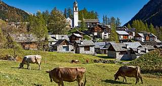 Bosco Gurin Vallemaggia Photo Swiss Image Christof Sonderegger